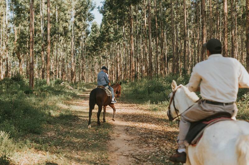 Cabalgata, una de las actividades que se pueden hacer dentro de Puerto Valle