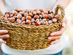 Chau cansancio: el alimento que se puede comer a toda hora y sirve para ganar energía