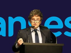 Baja de planes sociales: a partir de esta fecha, todos estos titulares serán suspendidos