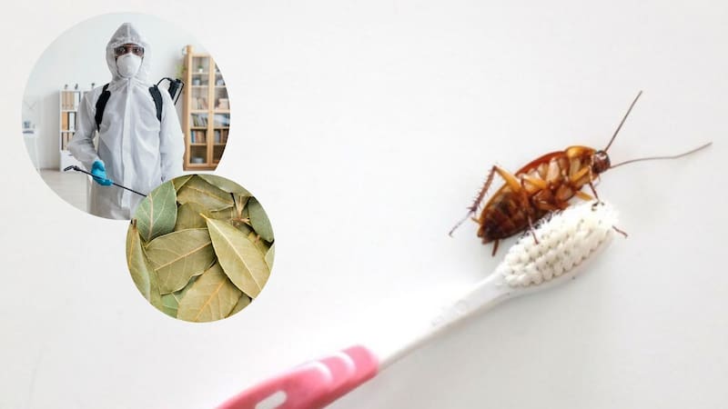 <div class="migrated-promo-image__description"><div class="migrated-promo-image__source">Fuente: Freepik</div></div>