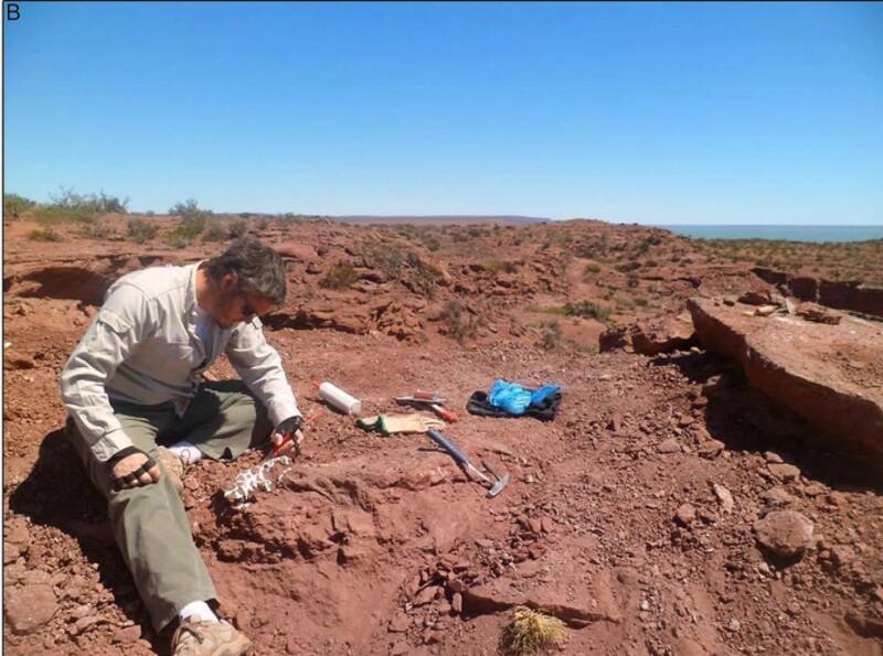 Revelación sin precedentes: hallan en Europa un cofre que puede cambiar la iglesia católica para siempre. Fuente: archivo.
