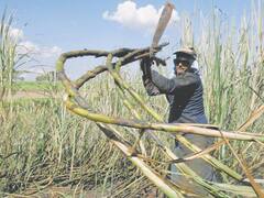 Un supermercadista tucumano le compró el Ingenio Concepción a Atanor