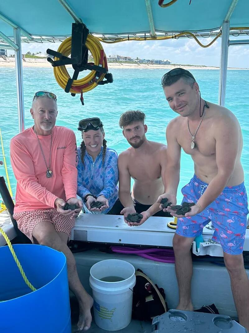 Revelación sin precedentes: hallan un barco español del siglo XVII lleno de monedas plata