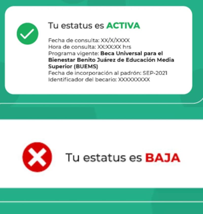 Estatus de lá búsqueda de las Becas para el Bienestar. Fuente: Archivo.