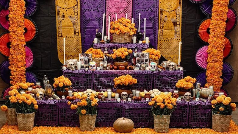 <div class="migrated-promo-image__description"><div class="migrated-promo-image__source">Fuente: Instagram @josecarlos_l</div></div>