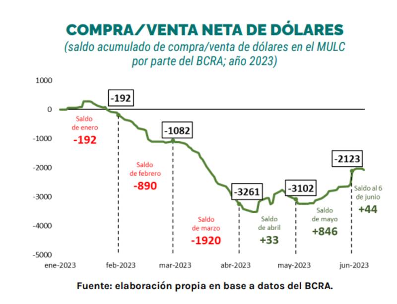 El Banco Central acumula ventas netas de dólares por más de u$s 2100 millones, según la Undav.