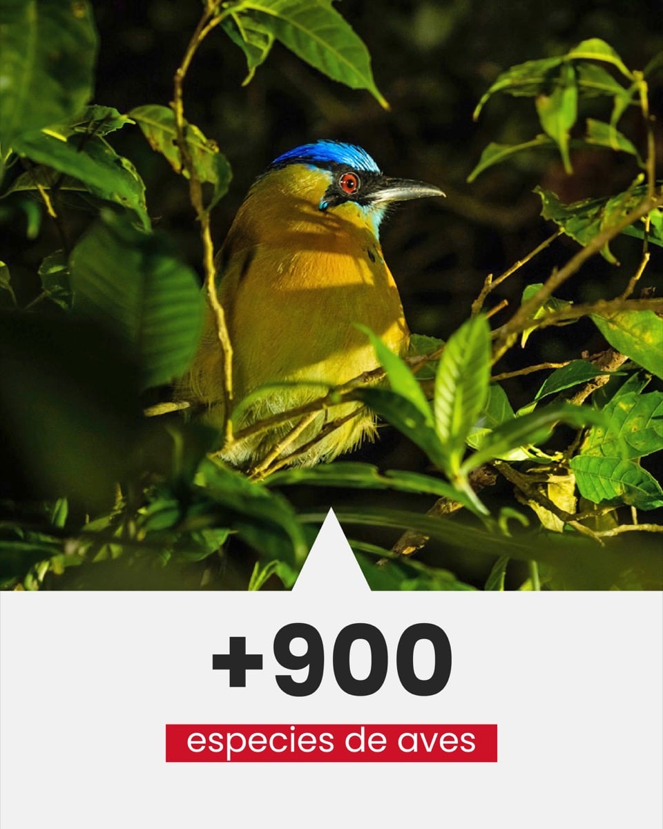 Infograf&iacute;a Costa Rica