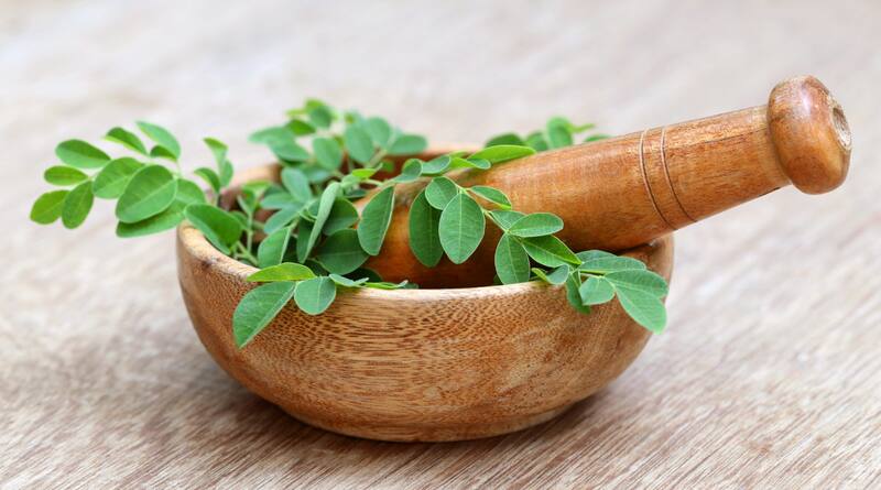 La hierba moringa es utilizada como remedio casero. Fuente: archivo