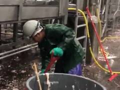 Escándalo por explotación infantil: una empresa deberá pagar una grave multa por hacer trabajar niños