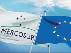 Lula da Silva quiere crear la moneda única sudamericana para minimizar el impacto del dólar