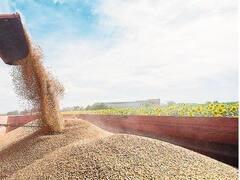 El Estado se queda con el 63,4% de la renta agrícola