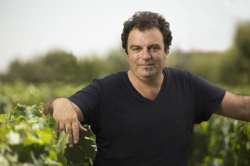 Alejandro Vigil fue reelecto como presidente de Wines of Argentina.