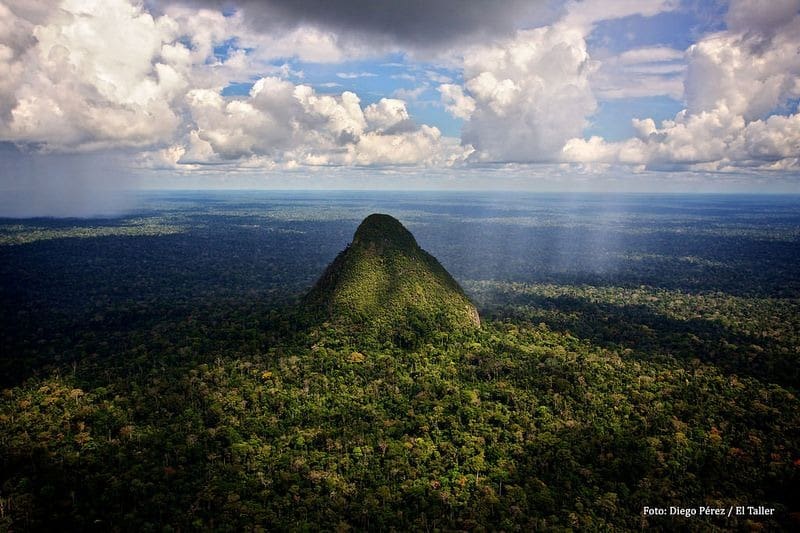 El acceso es extremadamente difícil debido a la densidad de la selva. (Fuente: Diego Pérez / El Taller)