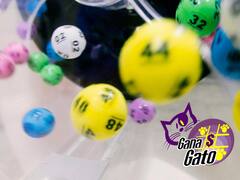 Resultados del Gana Gato: la combinación ganadora del sábado 8 de febrero