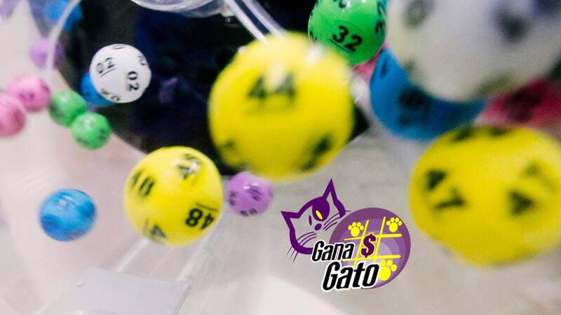 <div class="migrated-promo-image__description"><div class="migrated-promo-image__source">Fuente: Freepik-edit-ElCronista</div></div>