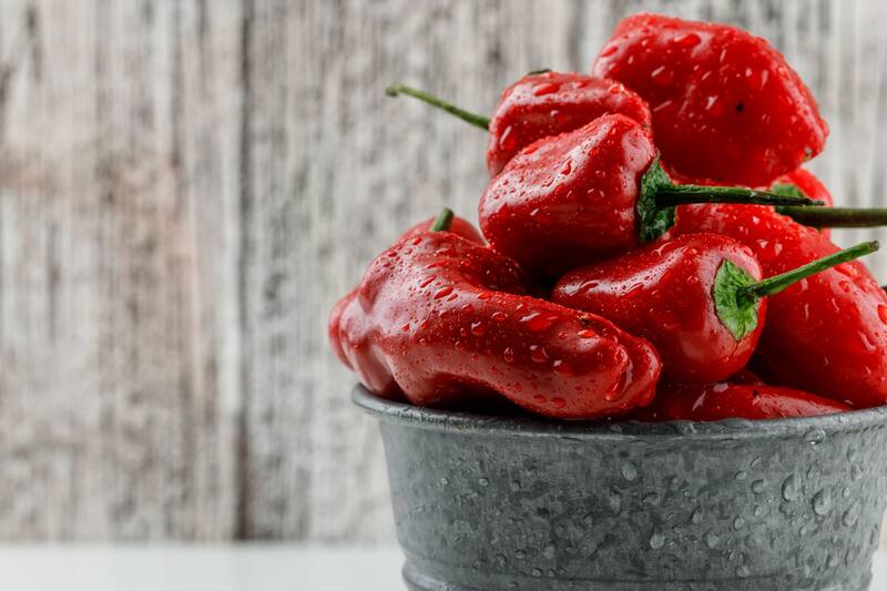 El morrón actúa como inhibido de apetito. (Fuente: Freepik).