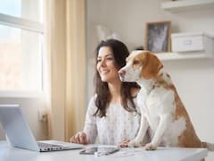 Coronavirus y mascotas: cuándo es el Día del Perro en Argentina y cómo hacer home office con gato y perro