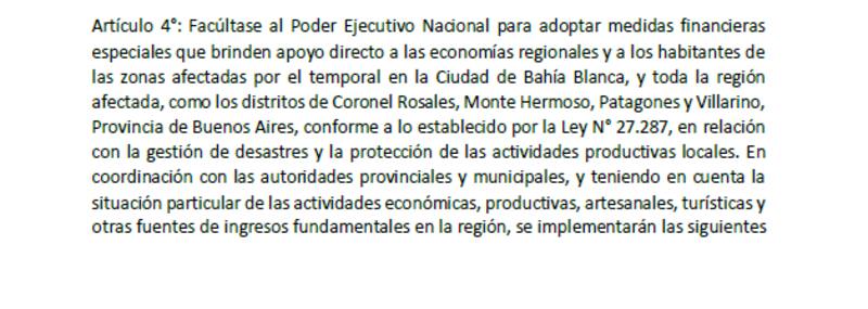 El artículo 4 del proyecto presentado por Victoria Tolosa Paz