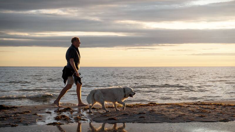Esta actividad combina el placer de caminar con los beneficios del ejercicio acuático.