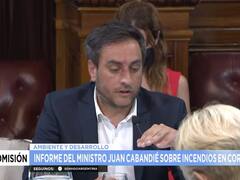 Incendios en Corrientes: en vivo, ahora, Cabandié expone ante la Comisión de Ambiente del Senado