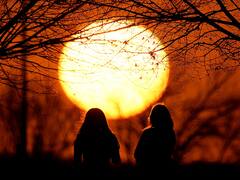 Solsticio de invierno: qué es, cuándo será el día más corto del año y cómo impactará en el planeta