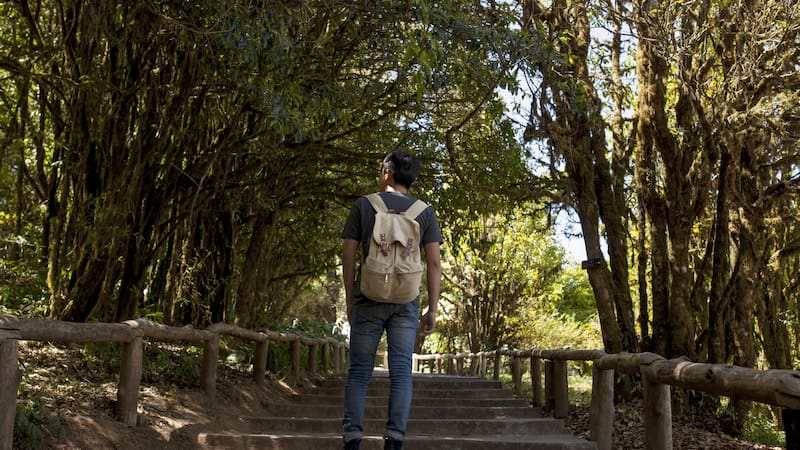 El parque es reconocido como un referente mundial en conservación de biodiversidad.