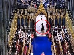 Coronación de Carlos III: revelaron qué era la extraña "parca" que apareció en la ceremonia