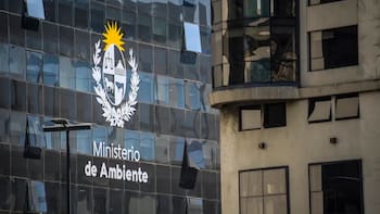 Proponen eliminar el Ministerio de Ambiente