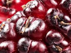 El secreto de la juventud eterna: la fruta que reduce arrugas y mejora la producción de colágeno