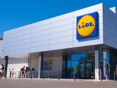 Largas filas en Lidl para comprar el electrodoméstico ideal para sobrevivir al calor: cuesta menos de 20 euros