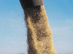 La baja de precios y una serie de paros complican a la exportación agrícola