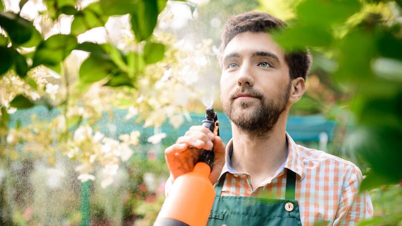Los agricultores del Valle del Jerte emplean diversos métodos para frenar el avance de las plagas en sus cultivos.