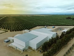 La dueña de Oliovita duplica producción de la planta de aceite de oliva más grande de América latina