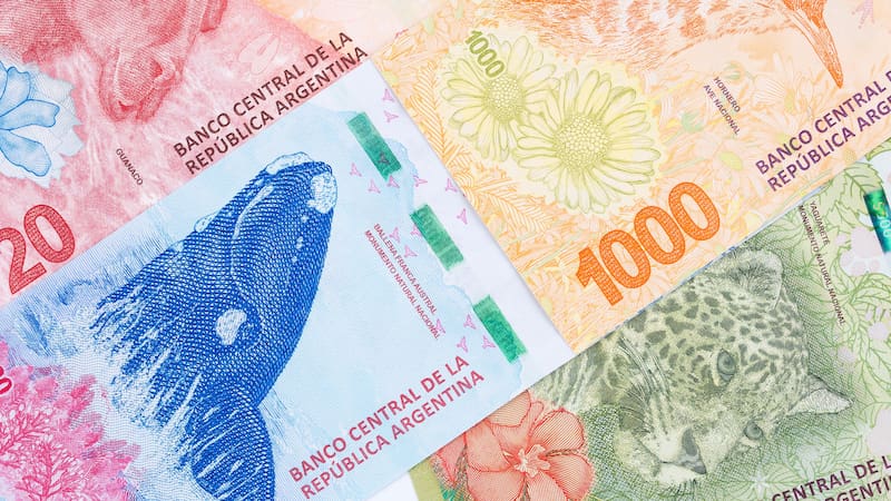 Los coleccionistas argentinos buscan en los billetes antiguos una inversión, una conexión con el pasado, preservando piezas que reflejan momentos clave de la historia.