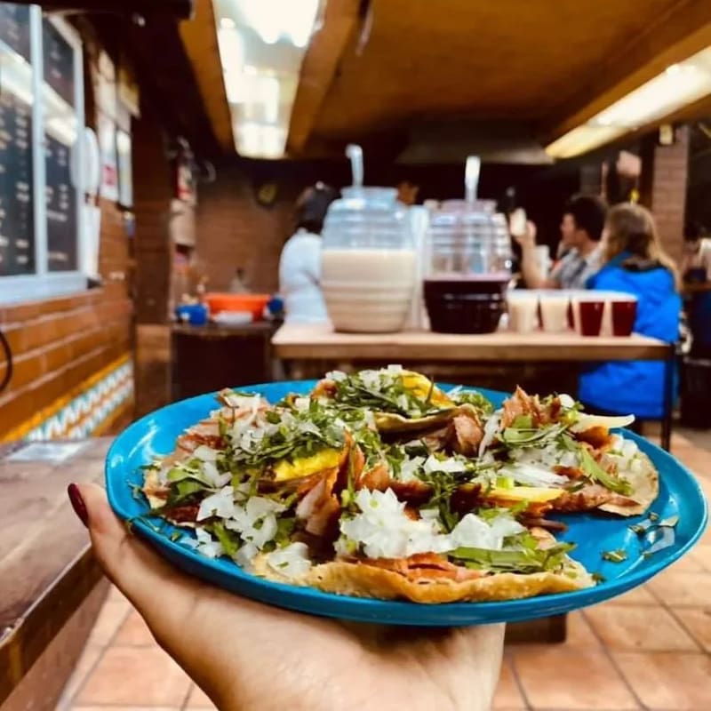 Comer delicioso en México. Fuente: Archivo.