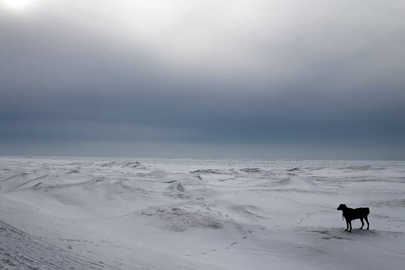 El Ártico, de frontera olvidada a epicentro de la geopolítica del siglo XXI. Fuente: Shutterstock.
