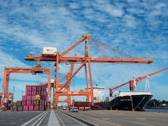 Hay nuevas opciones para el comercio exterior entre Argentina y Asia