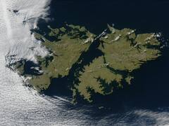 El deslumbrante descubrimiento de un grupo de científicos en las Islas Malvinas que cambia la historia