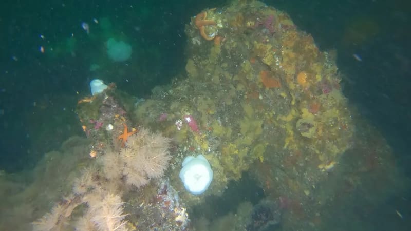 Crédito de la imagen: ThayerMahan,Inc.