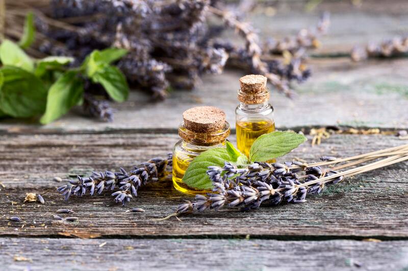El componente de linalool del aceite natural de lavanda ahuyenta a las chinches. Foto: FreePik.es