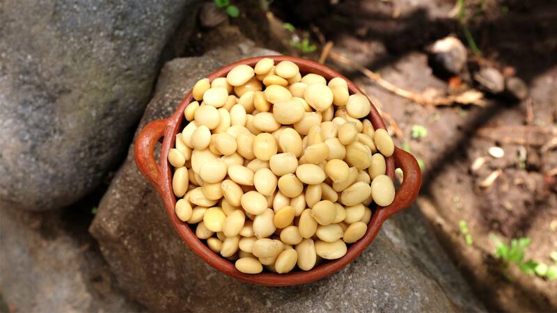 <div class="migrated-promo-image__description"><div class="migrated-promo-image__source">Fuente: Shutterstock</div></div>