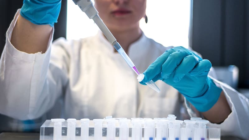 Hay al menos 3 descubrimientos que dejaron una huella en la historia de la ciencia.