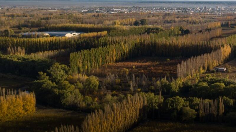 Un hermoso paisaje campestre, ideal para una escapada.