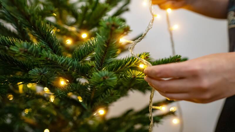 <div class="migrated-promo-image__description"><div class="migrated-promo-image__source">Fuente: Shutterstock</div></div>