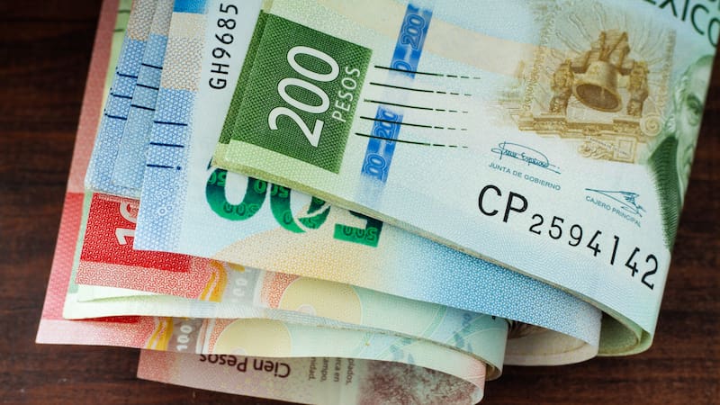 <div class="migrated-promo-image__description"><div class="migrated-promo-image__source">Fuente: Freepik</div></div>