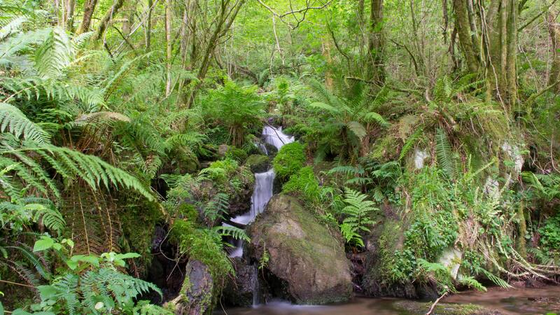 Los amplios espacios verdes que hay en los alrededores son la gran motivación de cientos de aventureros.