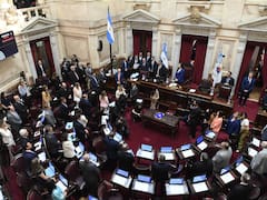 DNU de Milei: la UCR impulsa en el Senado un proyecto de "ley espejo"