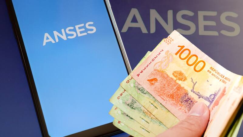 ANSES entrega $240.000: en qué consiste y cómo conseguirlos