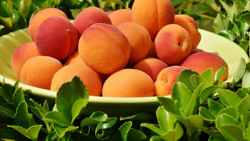 El fruto español lleno de vitamina C que rejuvenece la piel y combate enfermedades.