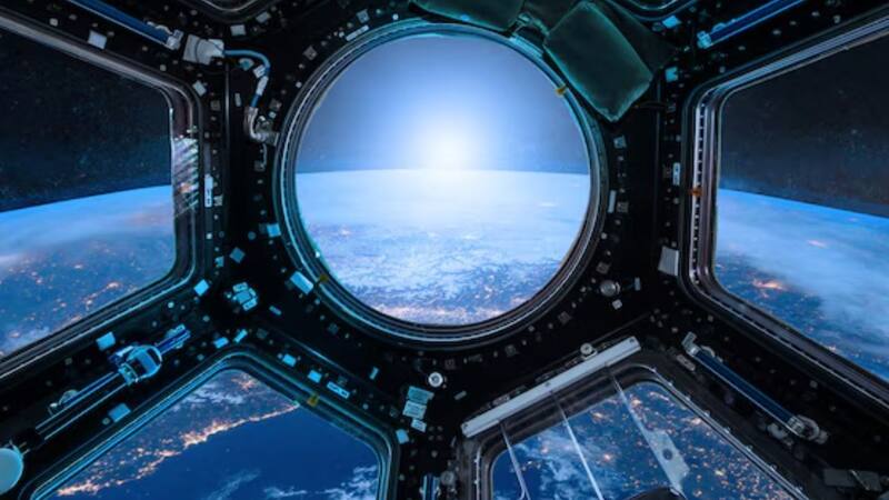 <div class="migrated-promo-image__description"><div class="migrated-promo-image__source">Fuente: Freepik</div></div>